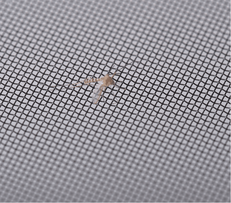 Window Insect Screen Mesh - Dongfu Wire Mesh